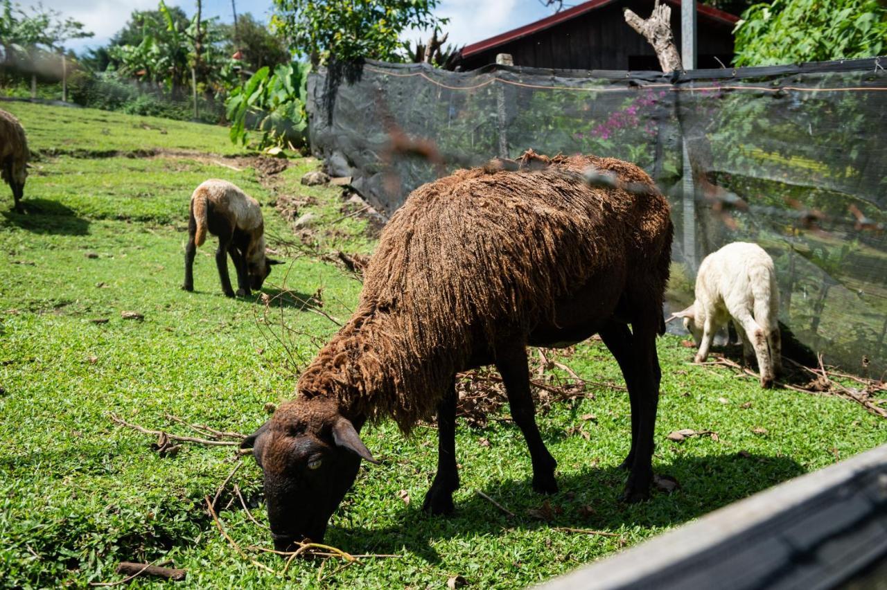 Hotel & Spa Escondite De La Montana Sabana Redonda Luaran gambar